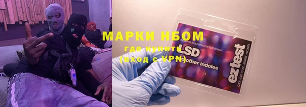 гидра Пестово