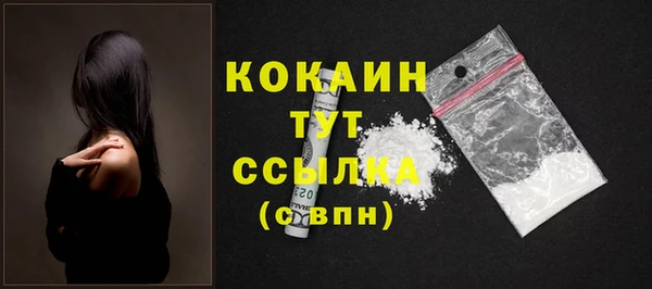гидра Пестово
