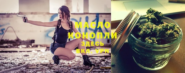гидра Пестово