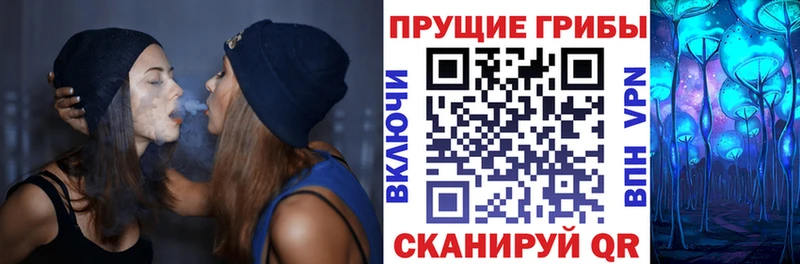 Псилоцибиновые грибы Magic Shrooms  ОМГ ОМГ tor  Стрежевой  купить  